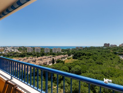 Resale - Apartment - Campoamor - Dehesa de Campoamor