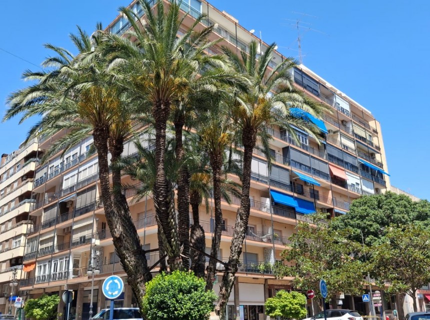 Resale - Apartment - Orihuela - Zona Centro