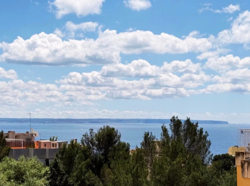 Resale - Apartment - Palma de Mallorca - Sant Agustí
