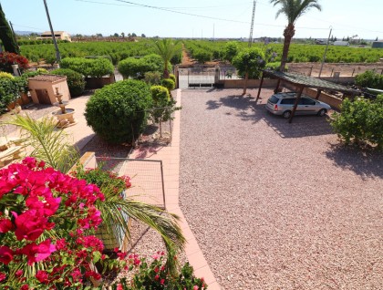 Resale - Finca - Albatera - Albatera - Country