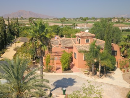 Resale - Finca - Catral - Catral - Country