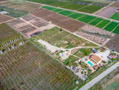 Resale - Finca - Crevillente