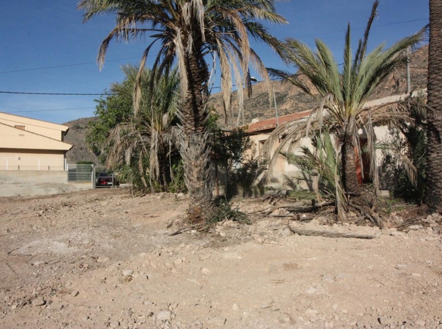 Resale - Finca - Orihuela - La Aparecida