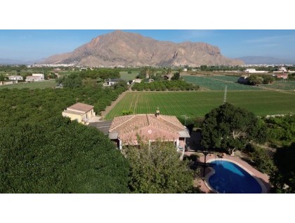 Resale - Finca - Orihuela - San Bartolome