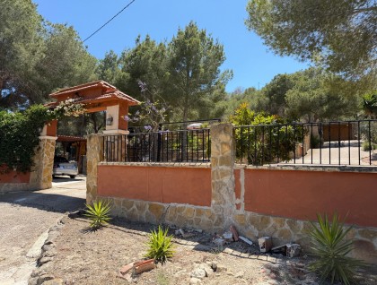 Resale - Finca - Orihuela - Torremendo