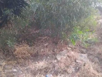 Resale - Plot - Algorfa