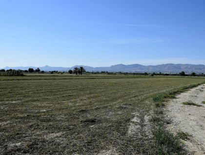 Resale - Plot - Catral