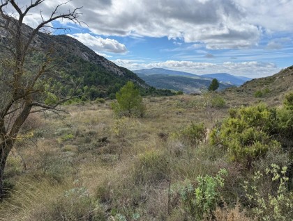 Resale - Plot - Confrides - Barranc de Xarquera