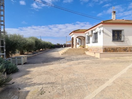 Resale - Villa - Orihuela - La Mata