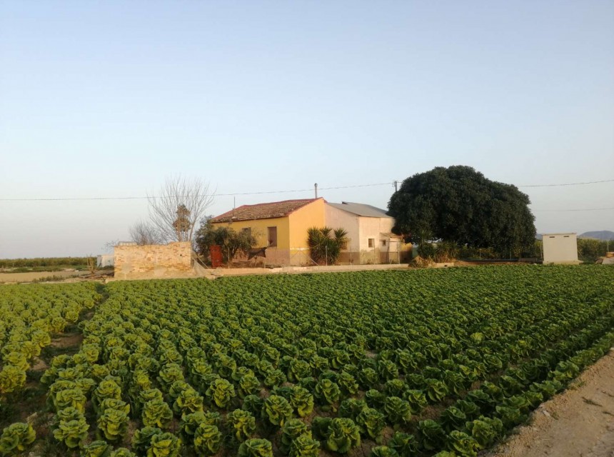 Resale - Villa - Orihuela - Orihuela Costa