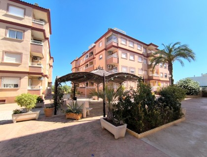 Segunda mano - Apartamento - Algorfa