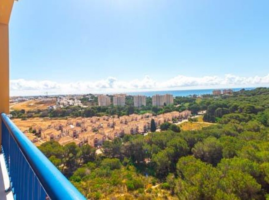Segunda mano - Apartamento - Orihuela Costa - Altos de Campoamor