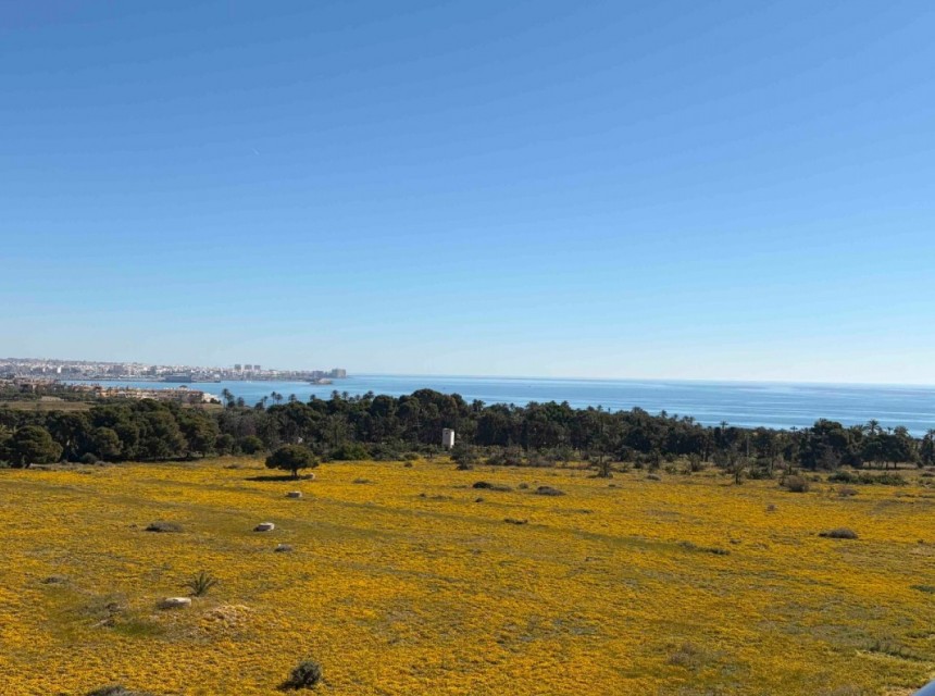 Segunda mano - Apartamento - Orihuela Costa - Punta Prima