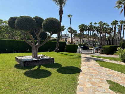 Segunda mano - Apartamento - Orihuela - Villamartín