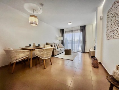 Segunda mano - Apartamento - Torrevieja - Acequion