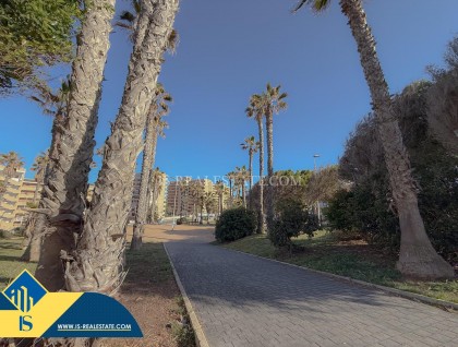 Segunda mano - Apartamento - Torrevieja - Cabo cervera