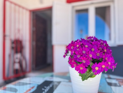 Segunda mano - Apartamento - Torrevieja - Cabo cervera