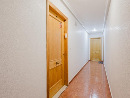 Segunda mano - Apartamento - Torrevieja - Centro