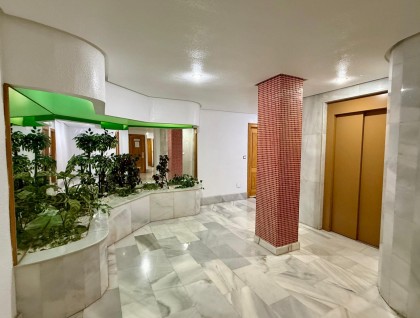 Segunda mano - Apartamento - Torrevieja - Centro