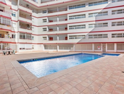 Segunda mano - Apartamento - Torrevieja - Parque las naciones