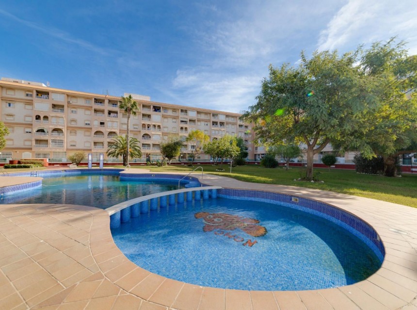 Segunda mano - Apartamento - Torrevieja - Parque las naciones