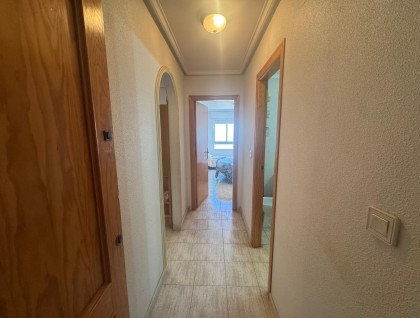 Segunda mano - Apartamento - Torrevieja - Playa de La Acequion
