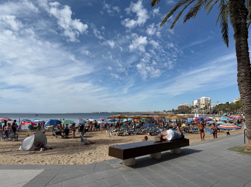 Segunda mano - Apartamento - Torrevieja - Playa del cura