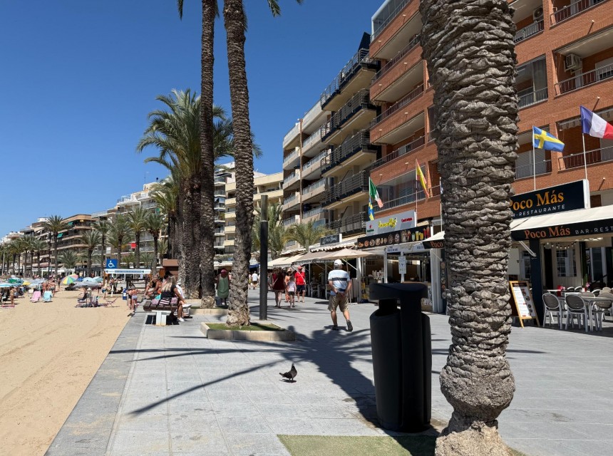 Segunda mano - Apartamento - Torrevieja - Playa del cura
