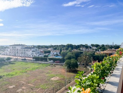 Segunda mano - Apartamento - Torrevieja - Punta Prima