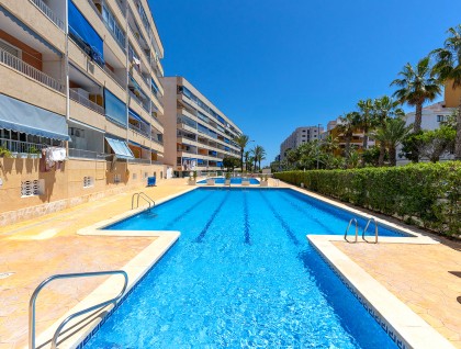 Segunda mano - Apartamento - Torrevieja - Rocio del Mar