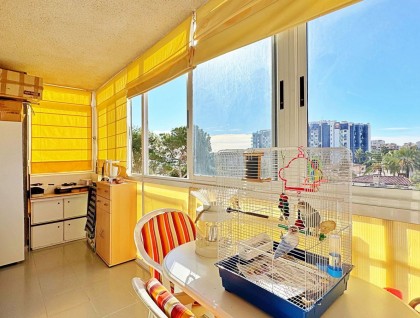 Segunda mano - Apartamento - Torrevieja - Rocio del Mar