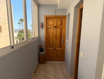 Segunda mano - Apartamento - Torrevieja - Urbanización San Luis