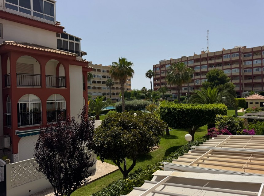 Segunda mano - Apartamento - Torrevieja
