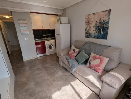 Segunda mano - Estudio - Torrevieja - Torreblanca