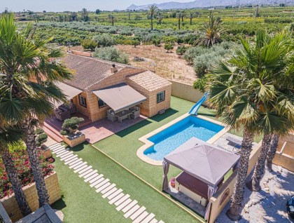 Segunda mano - Finca - Albatera - Costa Blanca