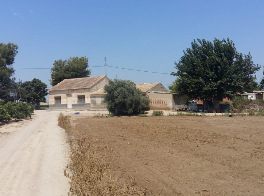Segunda mano - Finca - Daya Nueva