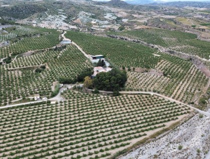 Segunda mano - Finca - Murcia - Rincón de Seca