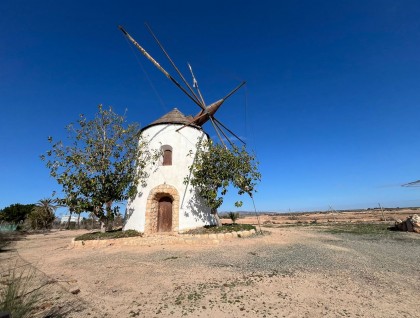 Segunda mano - Finca - Torre Pacheco - Torre-pacheco