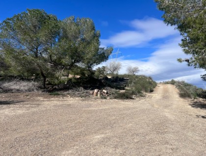 Segunda mano - Finca - Torremendo