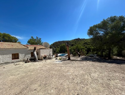 Segunda mano - Finca - Torremendo