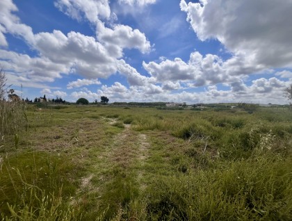 Segunda mano - Parcela - Catral