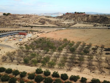 Segunda mano - Parcela - Torremendo - Torremendo - Country