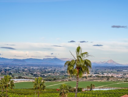 Segunda mano - Villa - Algorfa - Lomas De La Juliana