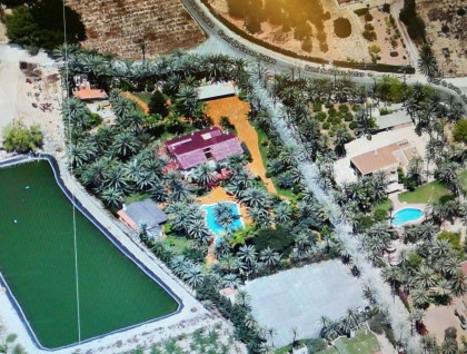 Segunda mano - Villa - Elche - Elche/Elx