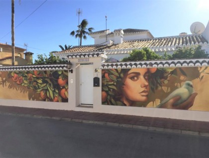 Segunda mano - Villa - Torrevieja