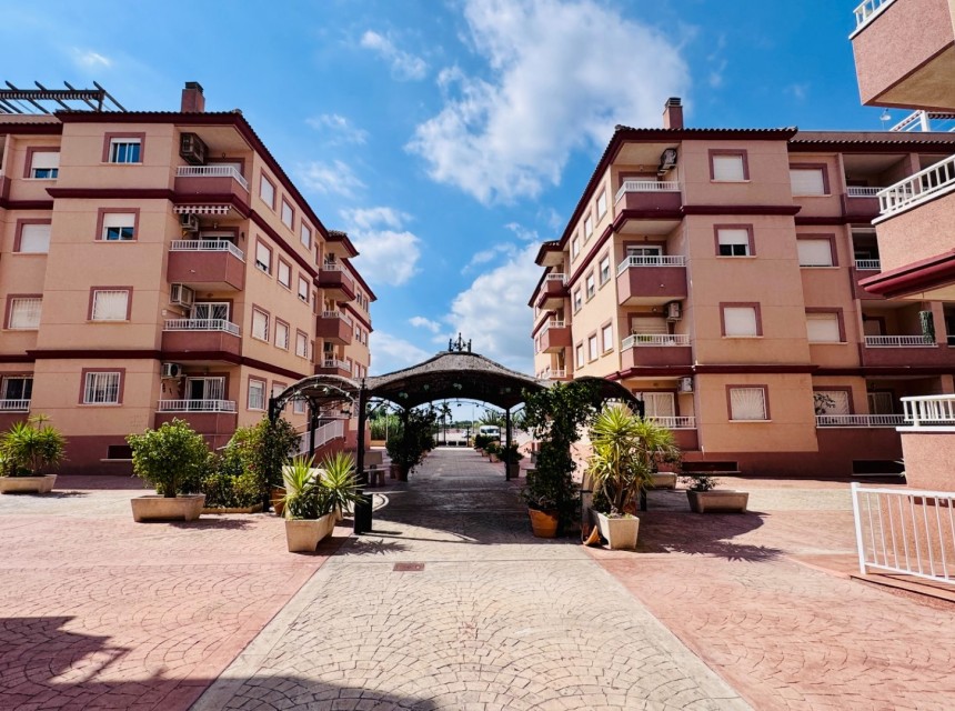 Sprzedaż - Apartament - Algorfa