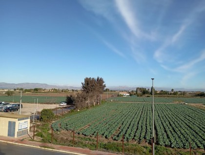 Sprzedaż - Apartament - Daya Vieja