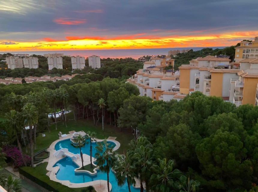 Sprzedaż - Apartament - Orihuela costa - Dehesa de Campoamor
