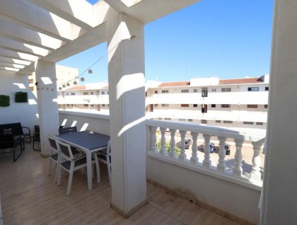 Sprzedaż - Apartament - Torrevieja - Estacion de autobuses