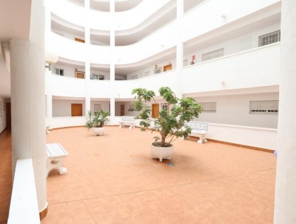Sprzedaż - Apartament - Torrevieja - Parque de Las Naciones